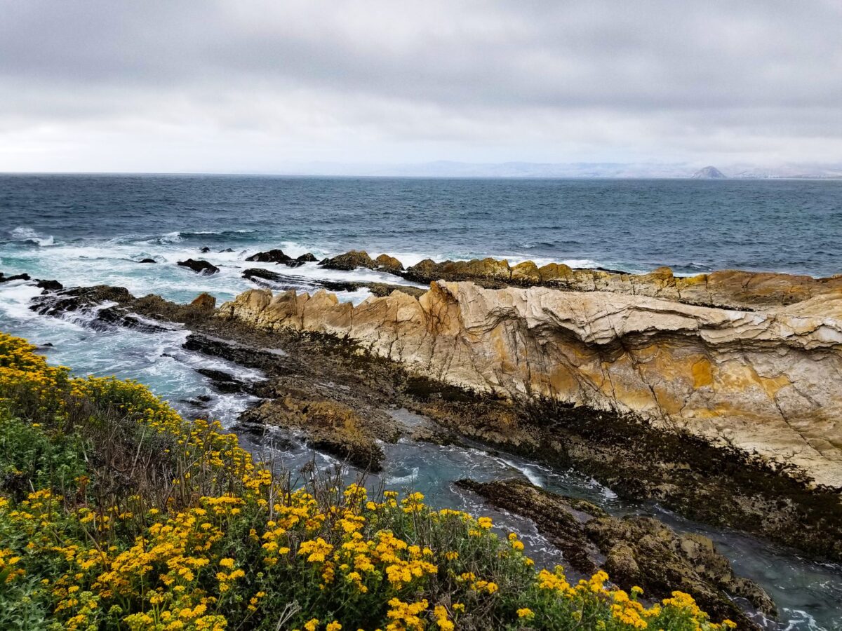 carmel californie détails erreurs fréquentes faut
